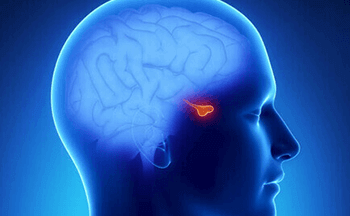 Pituitary Adenoma | Treatment for pituitary tumors  