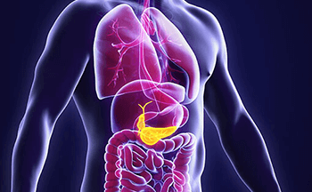 Blog on Pancreas by Dr. Sadiq Sikora - Best GI Cancer Surgeon in Bangalore