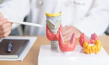 Thyroidectomy Surgery