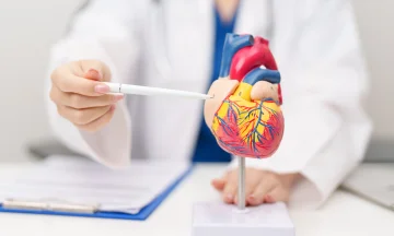 Heart Muscles and Pumping