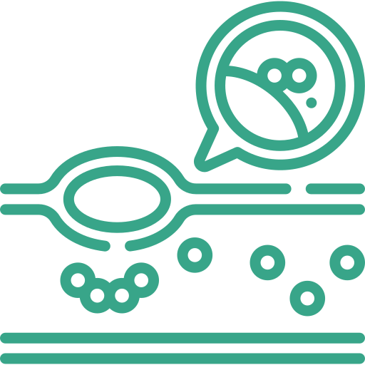 Aortic Aneurysm Repair Icon