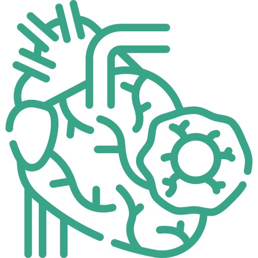 Angiography Icon