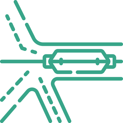 Renal Angioplasty Icon