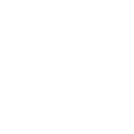 IVUS Icon