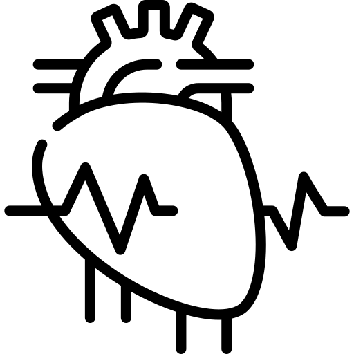 3D Echocardiography Icon