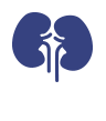                 Sakra Hospital - Kidney Centre in Bangalore | Treatment for kidney failure in Bangalore 