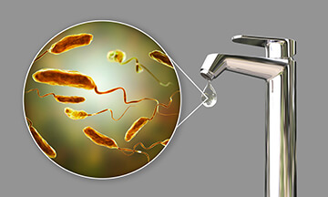 cholera causes and treatment