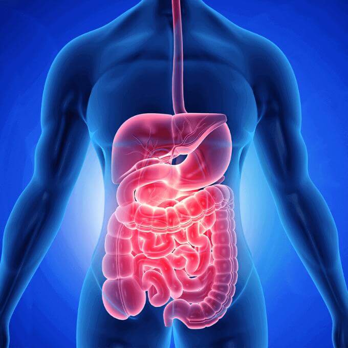 COVID-19 affects the gastrointestinal system