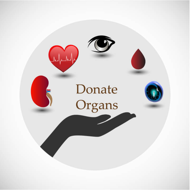 What Is The Process Of Organ Donation | Organ Donation 2020 | Sakra Health Blogs